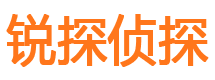 鸡东市侦探公司